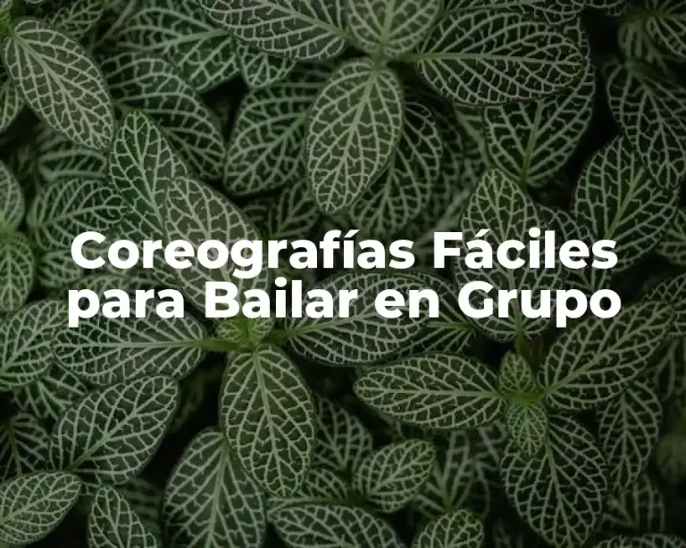 Coreografías Fáciles para Bailar en Grupo