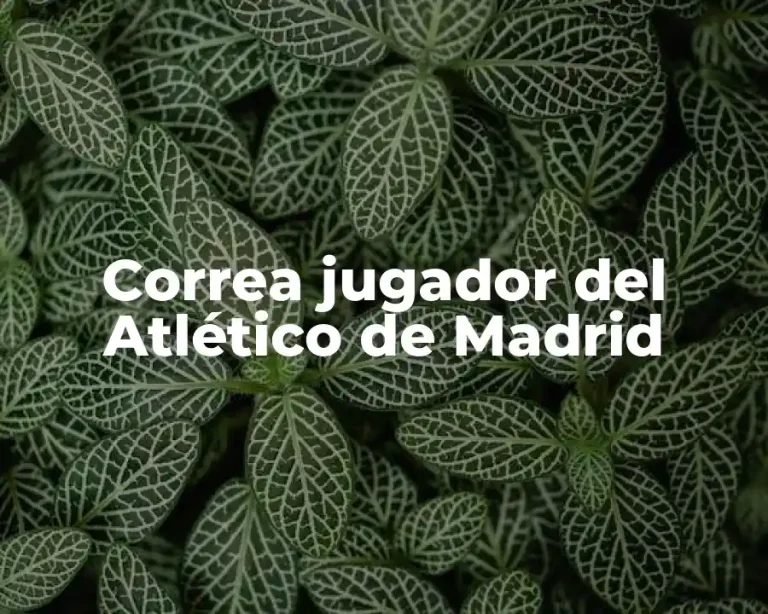 Correa jugador del Atlético de Madrid