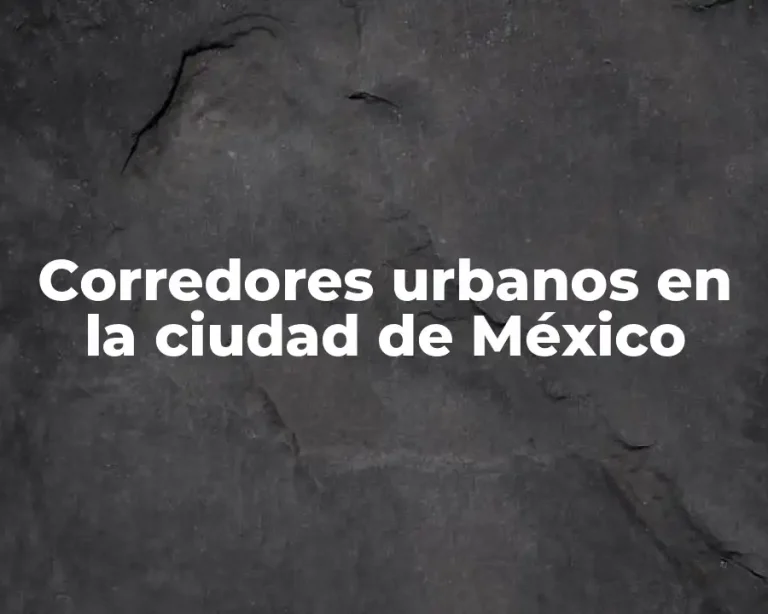 Corredores urbanos en la ciudad de México