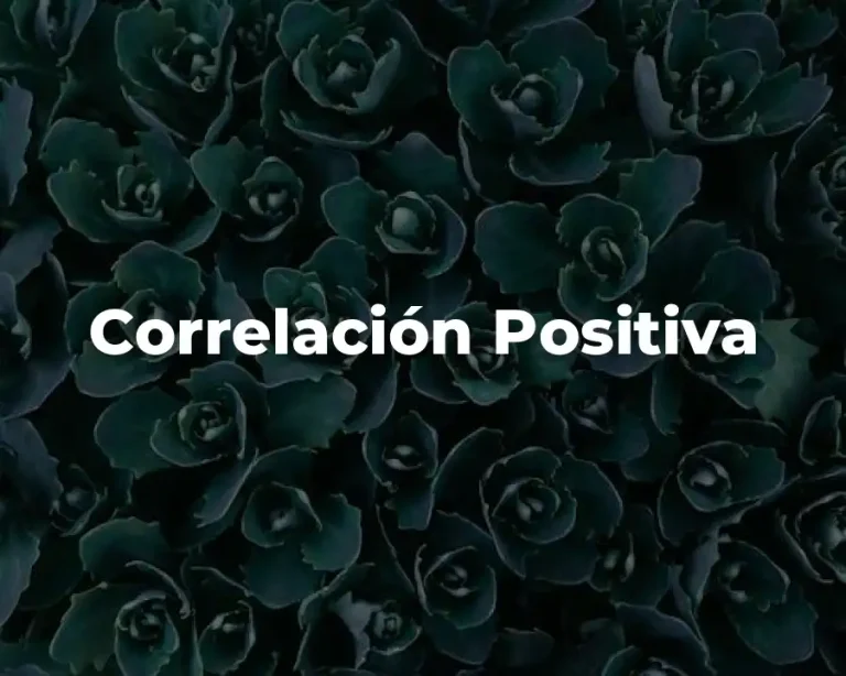 Correlación Positiva