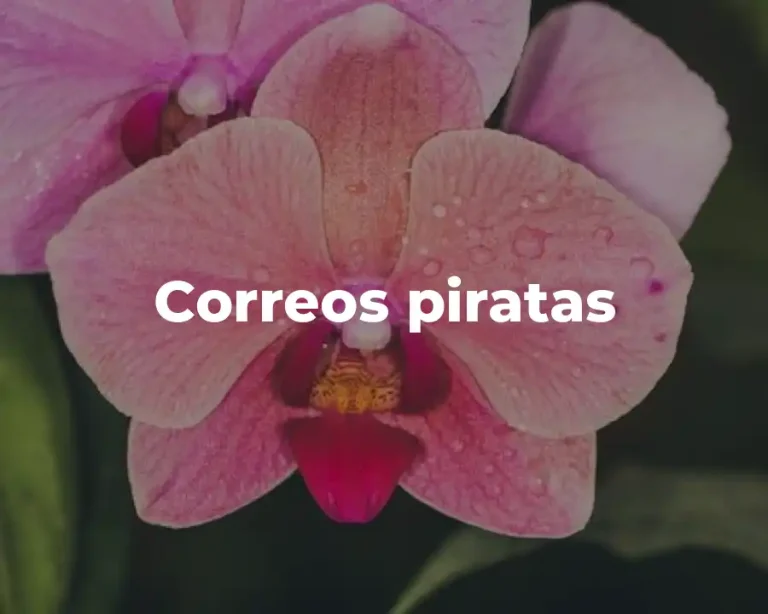 Correos piratas