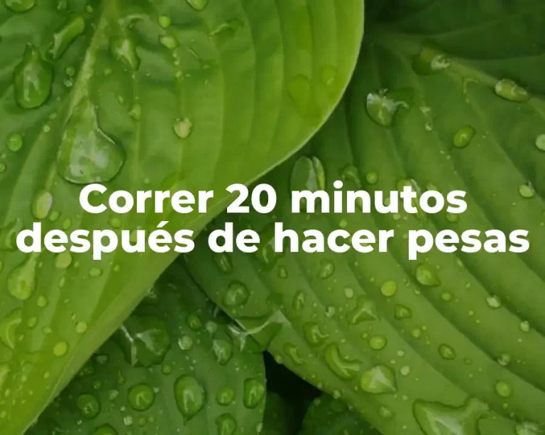 Correr 20 minutos después de hacer pesas
