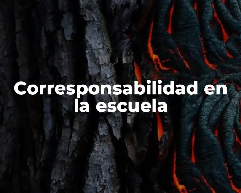 Corresponsabilidad en la escuela