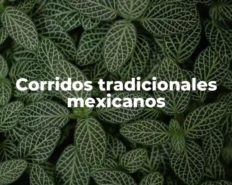Corridos tradicionales mexicanos