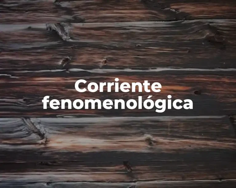 Corriente fenomenológica