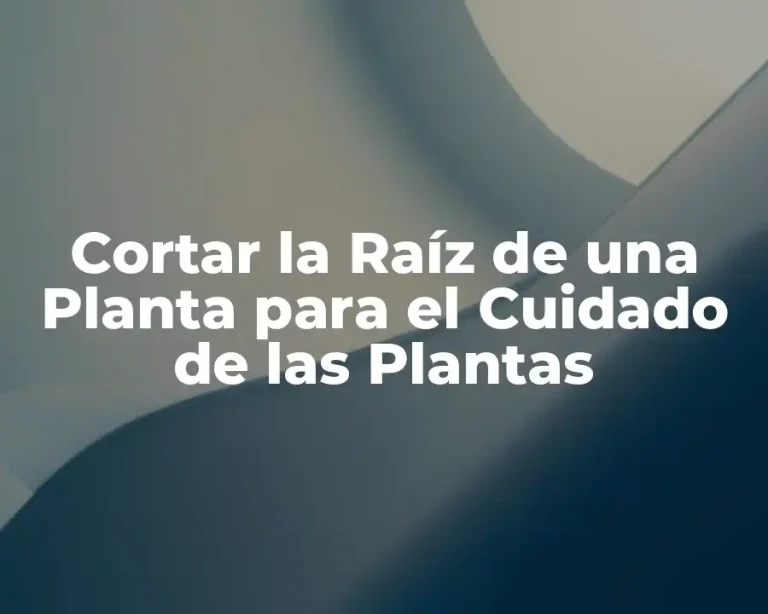 Cortar la Raíz de una Planta para el Cuidado de las Plantas