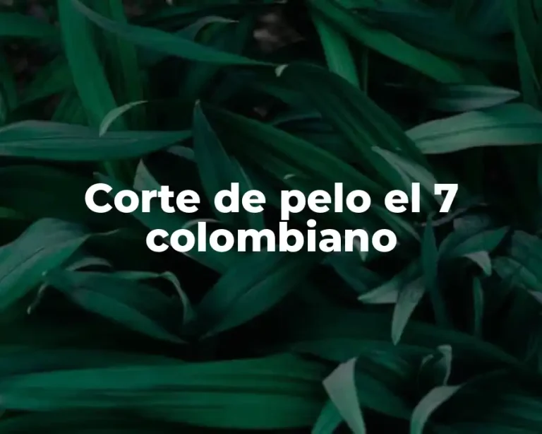 Corte de pelo el 7 colombiano
