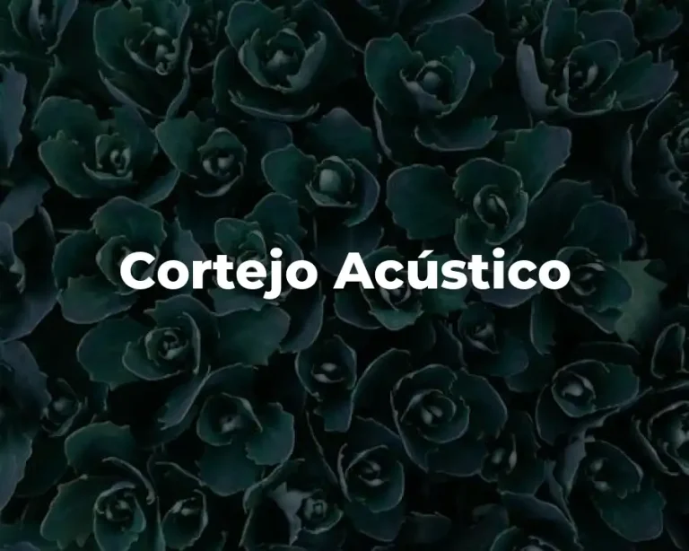 Cortejo Acústico