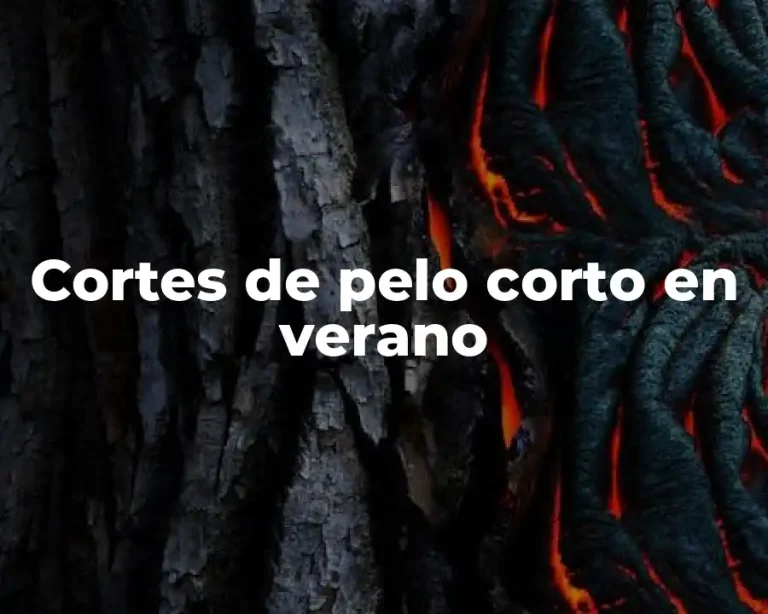 Cortes de pelo corto en verano