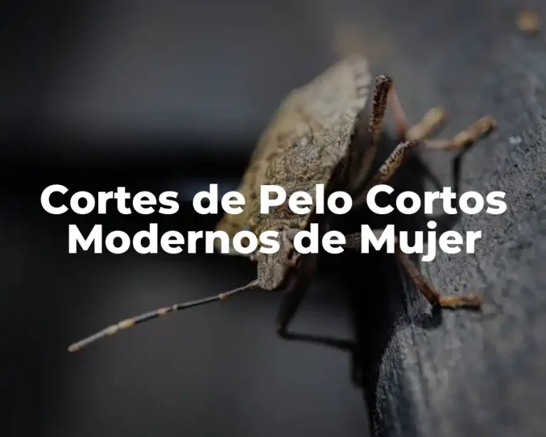 Cortes de Pelo Cortos Modernos de Mujer