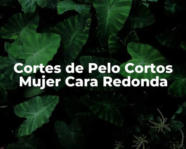 Cortes de Pelo Cortos Mujer Cara Redonda