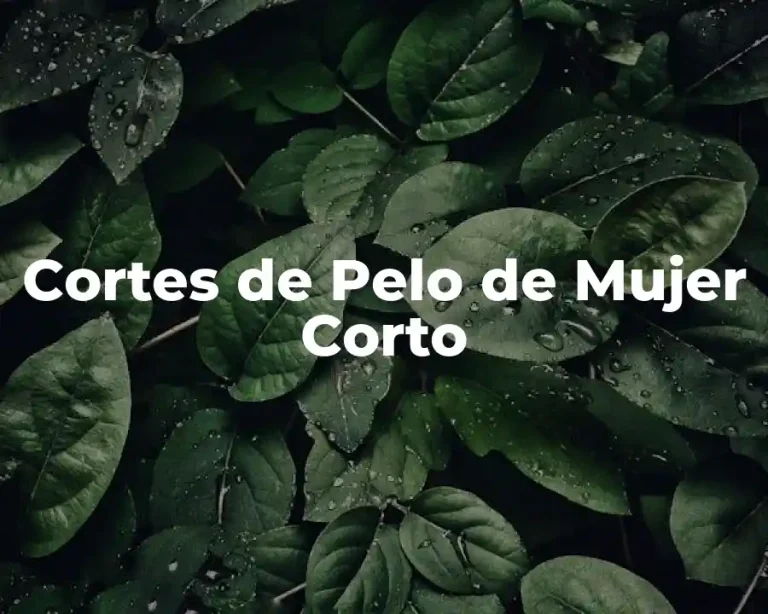 Cortes de Pelo de Mujer Corto