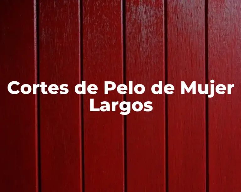 Cortes de Pelo de Mujer Largos