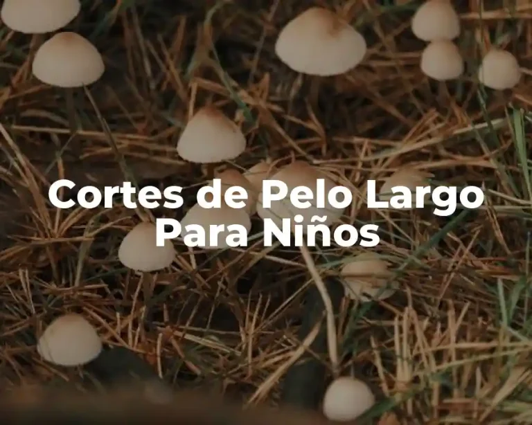 Cortes de Pelo Largo Para Niños