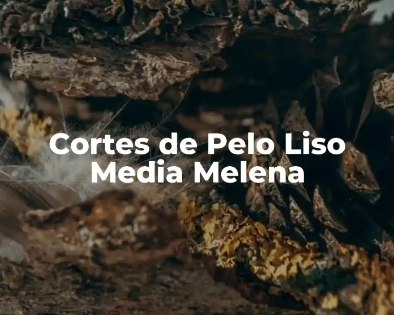 Cortes de Pelo Liso Media Melena