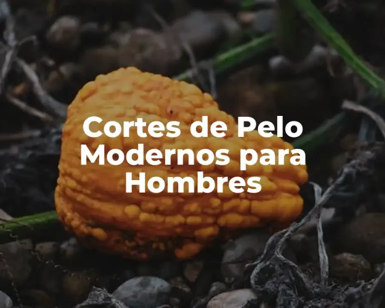 Cortes de Pelo Modernos para Hombres