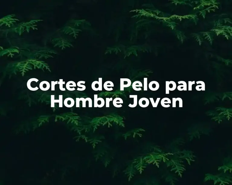 Cortes de Pelo para Hombre Joven