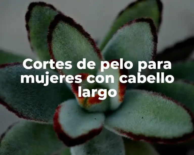 Cortes de pelo para mujeres con cabello largo