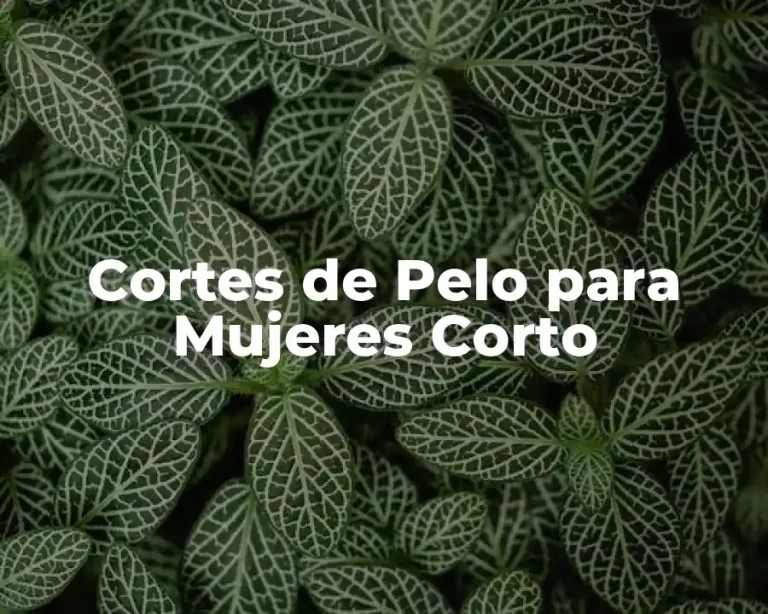 Cortes de Pelo para Mujeres Corto