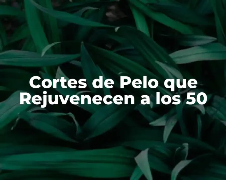 Cortes de Pelo que Rejuvenecen a los 50