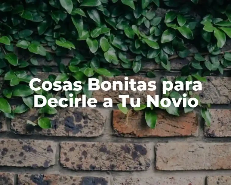 Cosas Bonitas para Decirle a Tu Novio