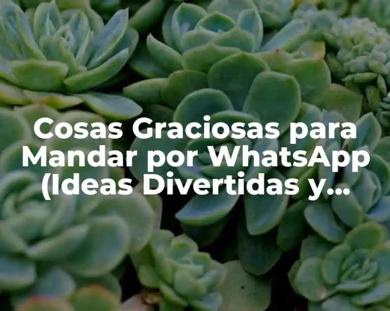 Cosas Graciosas para Mandar por WhatsApp (Ideas Divertidas y Originales)