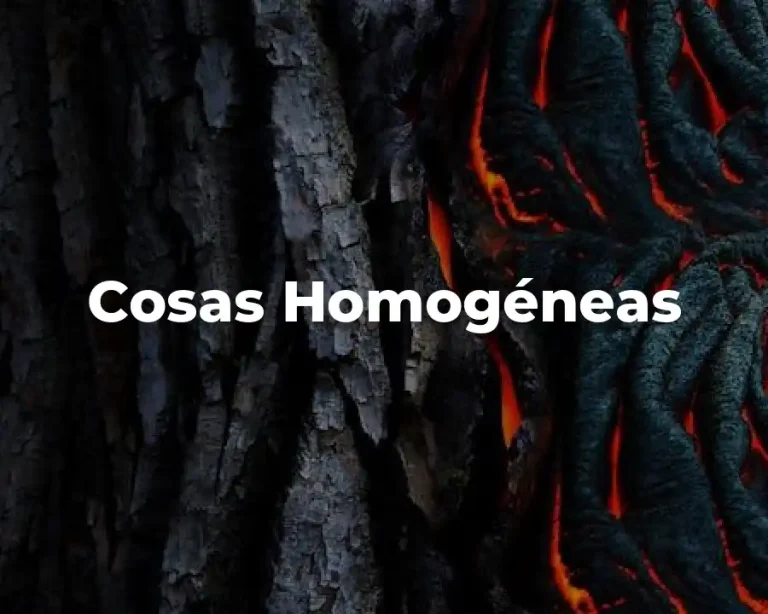 Cosas Homogéneas