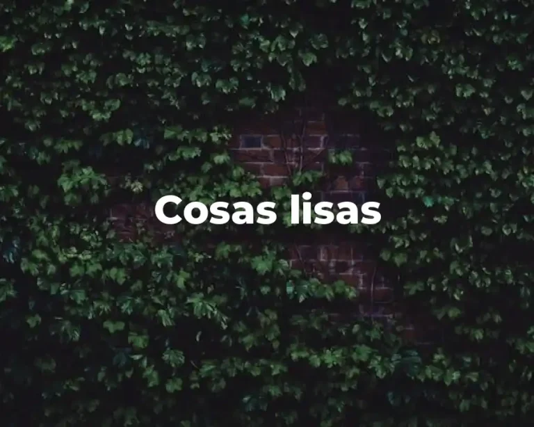 Cosas lisas