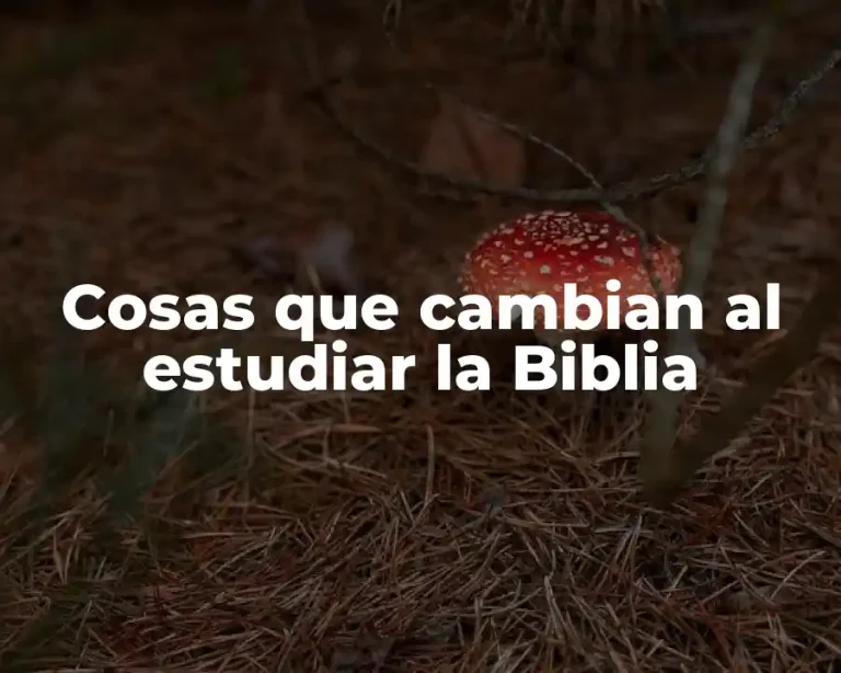 Cosas que cambian al estudiar la Biblia
