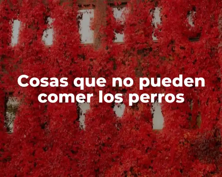 Cosas que no pueden comer los perros