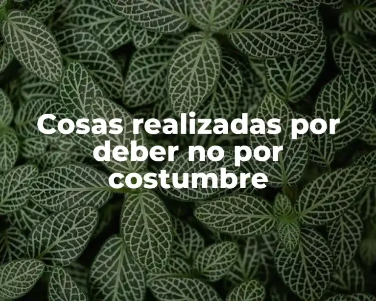 Cosas realizadas por deber no por costumbre