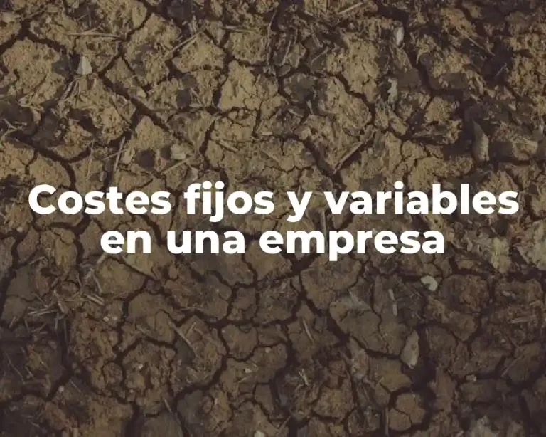 Costes fijos y variables en una empresa