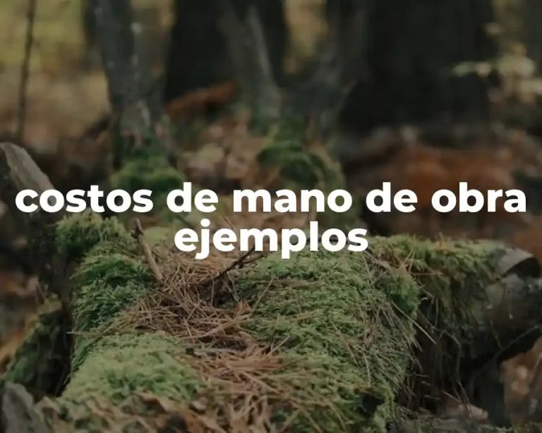 costos de mano de obra ejemplos