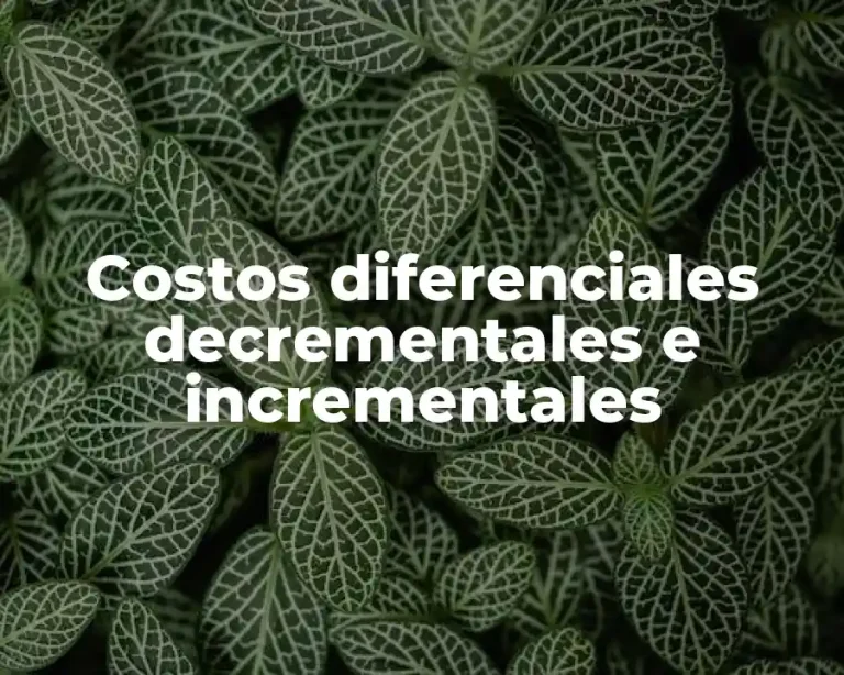 Costos diferenciales decrementales e incrementales