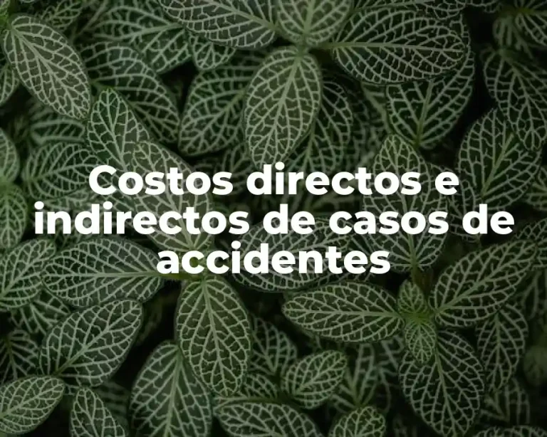 Costos directos e indirectos de casos de accidentes