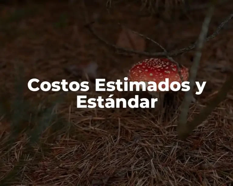Costos Estimados y Estándar
