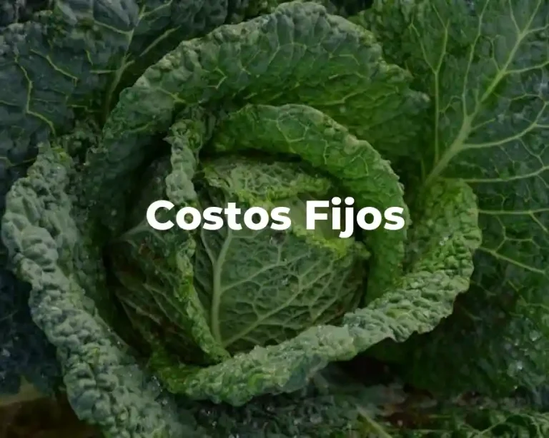 Costos Fijos