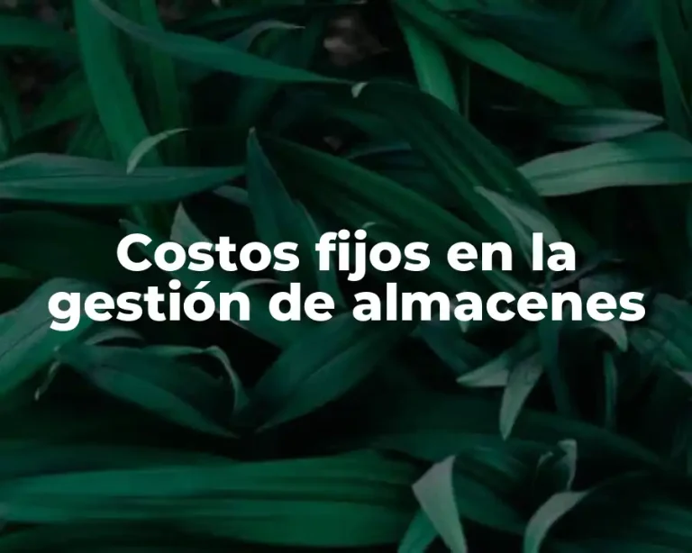 Costos fijos en la gestión de almacenes