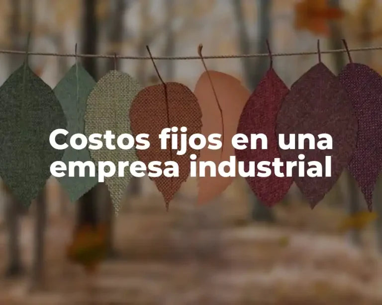 Costos fijos en una empresa industrial