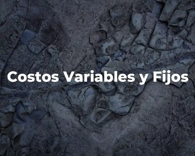 Costos Variables y Fijos