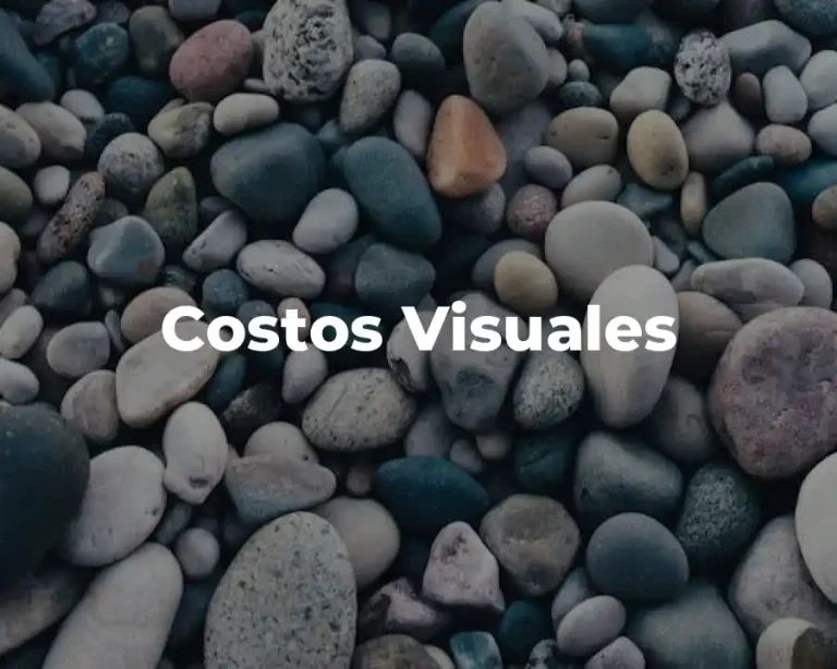Costos Visuales