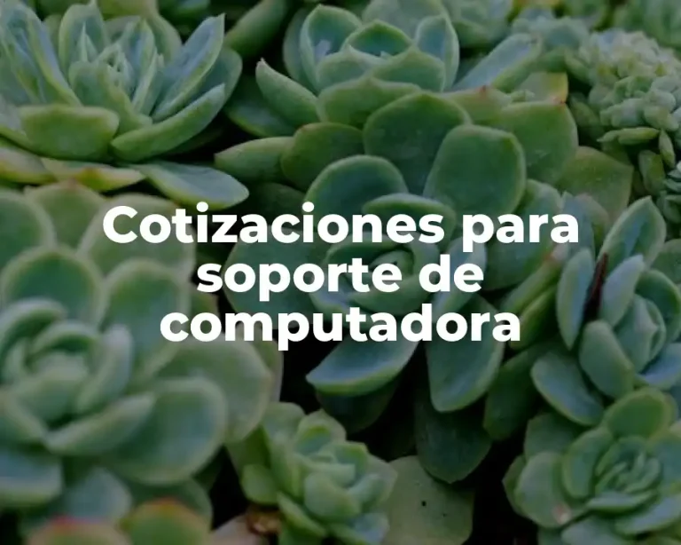 Cotizaciones para soporte de computadora