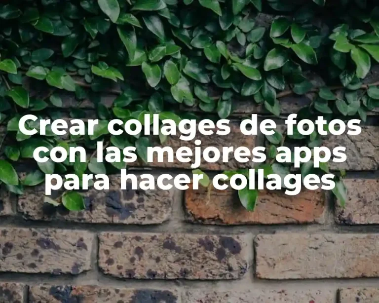 Crear collages de fotos con las mejores apps para hacer collages