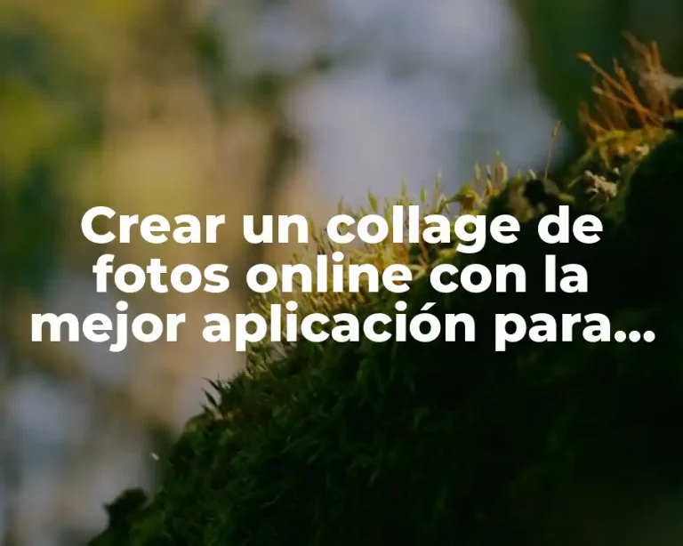 Crear un collage de fotos online con la mejor aplicación para hacer collage de fotos
