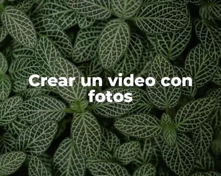 Crear un video con fotos