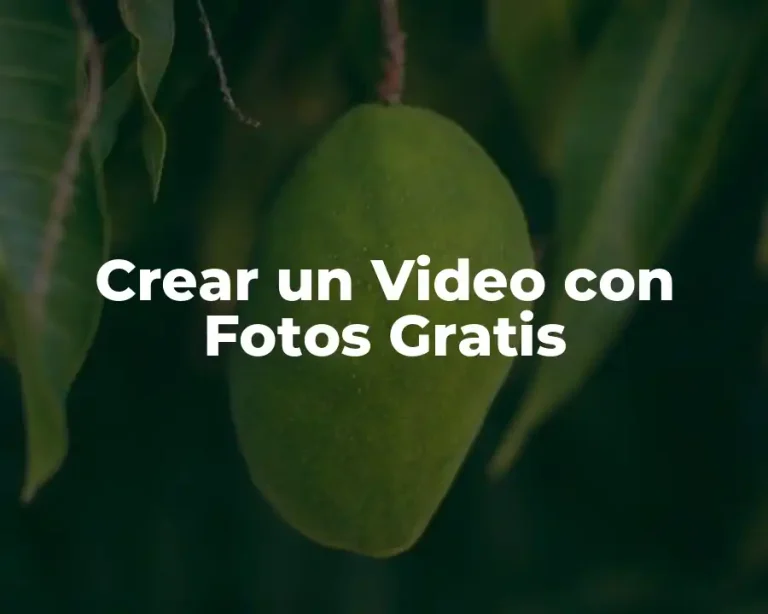 Crear un Video con Fotos Gratis