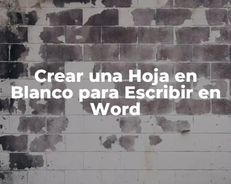 Crear una Hoja en Blanco para Escribir en Word