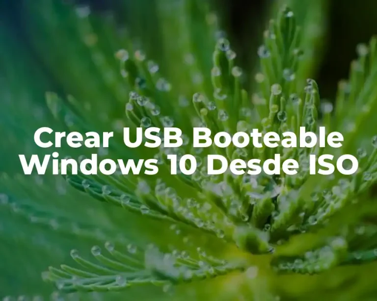 Crear USB Booteable Windows 10 Desde ISO