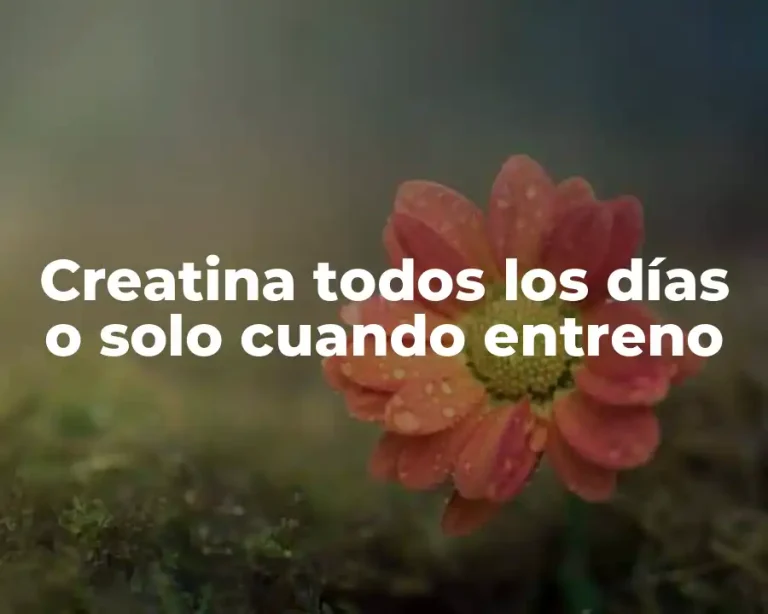 Creatina todos los días o solo cuando entreno