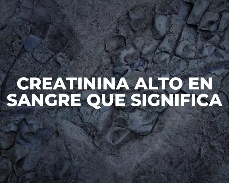 CREATININA ALTO EN SANGRE QUE SIGNIFICA